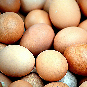 Eggs