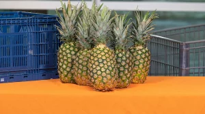 Pineapples provided by SNAP in Illinois